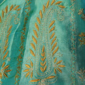sea green organza Anarkali