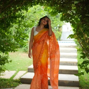 Bright Orange Silk Organza Saree with Heavy Chikankari