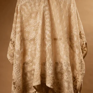 Beige Kota Chikankari Saree with Dual Border & Heavy Embroidery