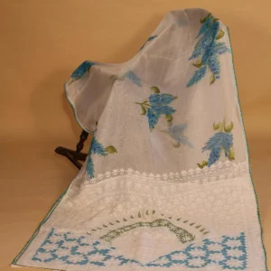 Blue Handpainted Chikankari Silk Organza Saree