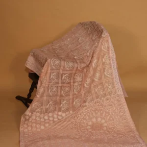 Silk Organza Designer Saree with Bakhiya Border