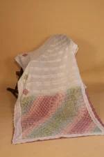 Multicolour Zari Kota Chikankari Saree