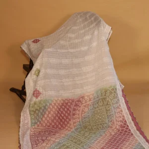 Multicolour Zari Kota Chikankari Saree