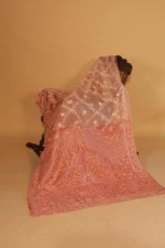 Silk Organza Saree with Tapechi Embroidery and Cutwork - Image 2