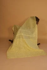 Lime Yellow Silk Organza Saree with Tapechi, Ghaspatti, Fanda & Cutwork - Image 2