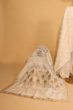 Silk Organza Saree with Golden Patti Border - Image 5