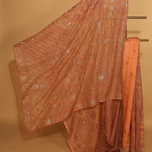 Silk Organza Saree with All Over Zardozi and Tapechi