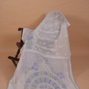 White check organza saree with multicolor embroidery