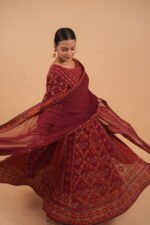 Wine color georgette Anarkali with full chikankari work - Image 4