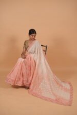 Kota shaded saree in coral and cream color having tapechi embroidery