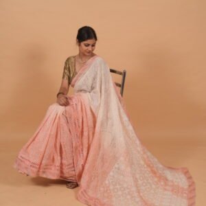 Kota shaded saree in coral and cream color having tapechi embroidery