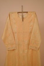 Yellow chikankari salwar suit set in tissue 4 pcs set