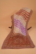 Multicolored chikankari embroidery Saree