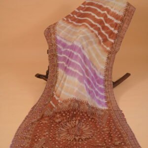 Multicolored chikankari embroidery Saree