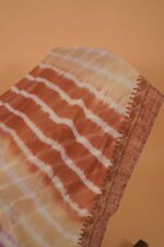 Multicolored chikankari embroidery Saree - Image 2