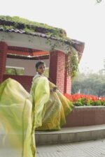 Lime yellow with shading of home green Anarkali set in cotton Voil - Image 5