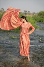 Rust Brown Chikankari Suit Set with Beadwork - Image 3