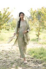 Sage Green Chikankari Suit Set with Beadwork - Image 4