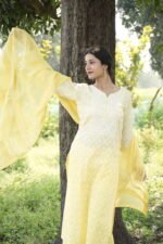 Lime Yellow Chikankari Embroidered Suit Set - Image 5