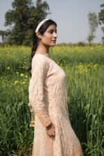 Ombre Beige Gold Chikankari Suit Set - Image 2