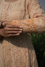Ombre Beige Gold Chikankari Suit Set - Image 5