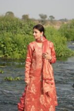 Rust Brown Chikankari Suit Set with Beadwork - Image 2