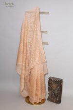 Orangish beige saree Organza Saree with Chikankari Embroidery