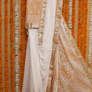 Peach Blossom Kota Jaali Saree