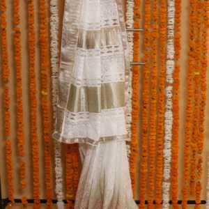 Azure Harmony Onam Kota Tapechi Saree