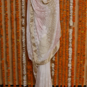 Blush Heritage Banarasi Onam Kota Saree