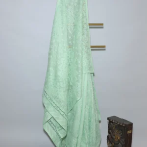 Pastel Green Chikankari Embroidered Saree