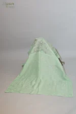 Pastel Green Chikankari Embroidered Saree - Image 8