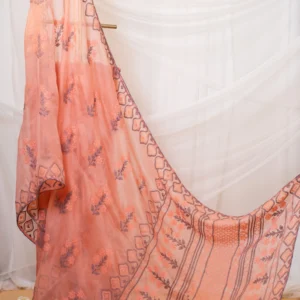 Organza Saree with Lilac & Peach Bhakaya & Beadwork