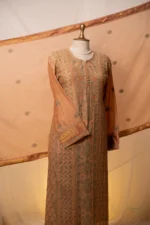 Dark Beige Brown Mul chanderi Chikankari Suit Set with Ghaspatti & Jaali Work - Image 3