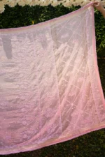 Mul Chanderi Saree with Ghaspatti, Zardozi & Beadwork - Image 5