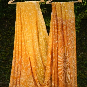 Silk Organza Saree with All-Over Tapchi & Heavy Zardozi