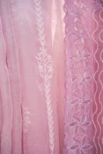 Cream Organza Saree with Tapchi & Designer Cutwork - Image 3