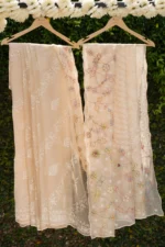 Organza Saree with Multicolour Appliqué & Tapchi
