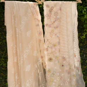 Organza Saree with Multicolour Appliqué & Tapchi