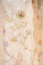 Organza Saree with Multicolour Appliqué & Tapchi - Image 4