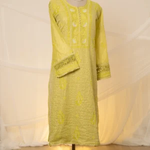 Lime Green Banarasi Tissue Chikankari Suit Set