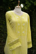 Lime Green Banarasi Tissue Chikankari Suit Set - Image 3