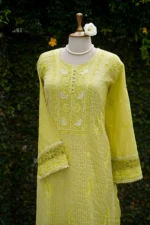 Lime Green Banarasi Tissue Chikankari Suit Set - Image 4