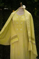 Lime Green Banarasi Tissue Chikankari Suit Set - Image 5