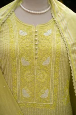 Lime Green Banarasi Tissue Chikankari Suit Set - Image 6
