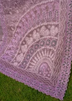Cream Organza Saree with Tapchi & Designer Cutwork - Image 6