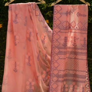 Peach Bakhya Embroidered Saree.