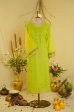 Gota Jali Embroidered Elegance. - Image 2