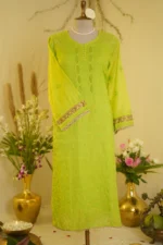 Gota Jali Embroidered Elegance. - Image 3