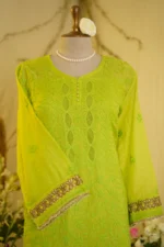 Gota Jali Embroidered Elegance. - Image 4